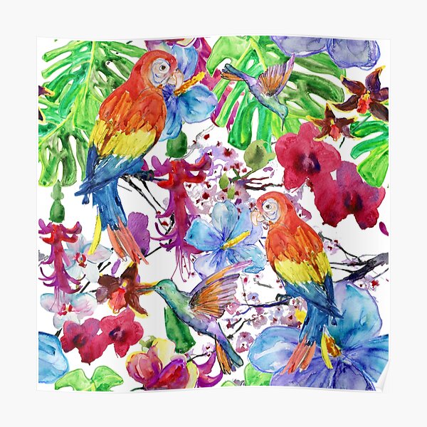 Tropical garden with  Orchid Hibiskus parrot & humming-bird Watercolor pattern  Poster by adaba