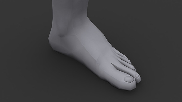 Human Male Foot Minimal Poly