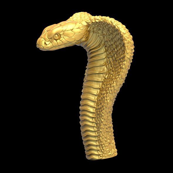 Cobra head 3D print model